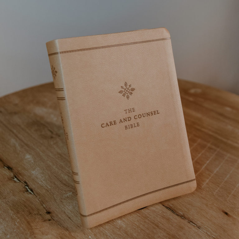 Care and Counsel Bible